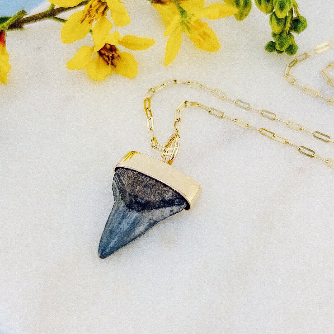 Fossil Short Fin Mako Tooth Solid 14k Yellow Gold Pendant, Newly Handcrafted ST3