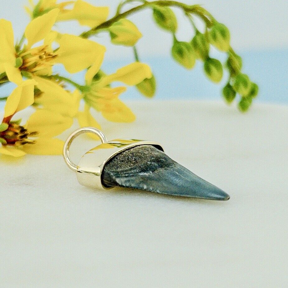 Fossil Short Fin Mako Tooth Solid 14k Yellow Gold Pendant, Newly Handcrafted ST3
