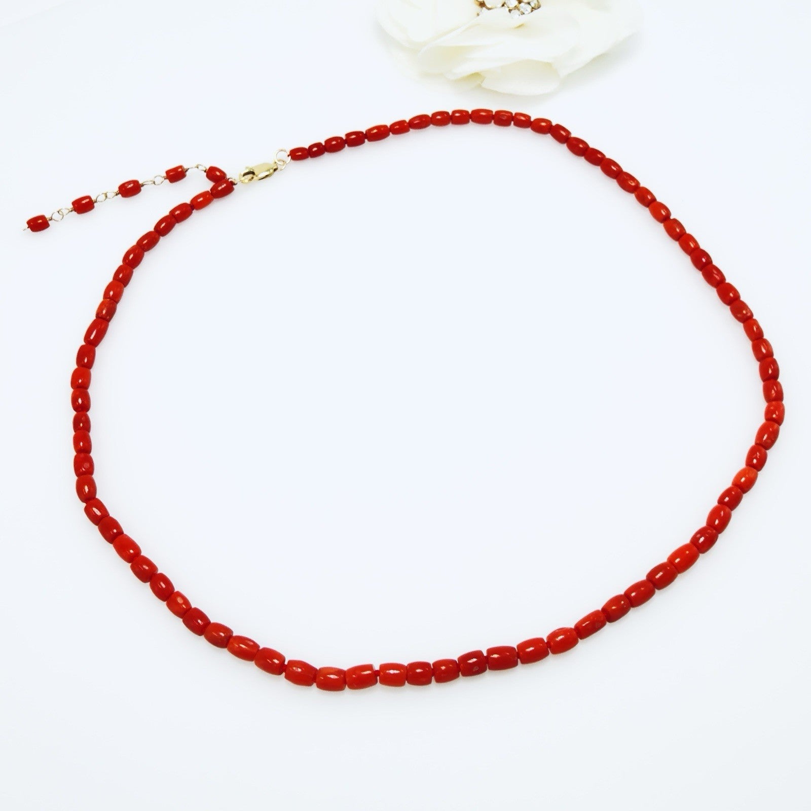 Natural Italian Red Coral 14k Yellow gold Necklace, Adjustable 18-19.5"
