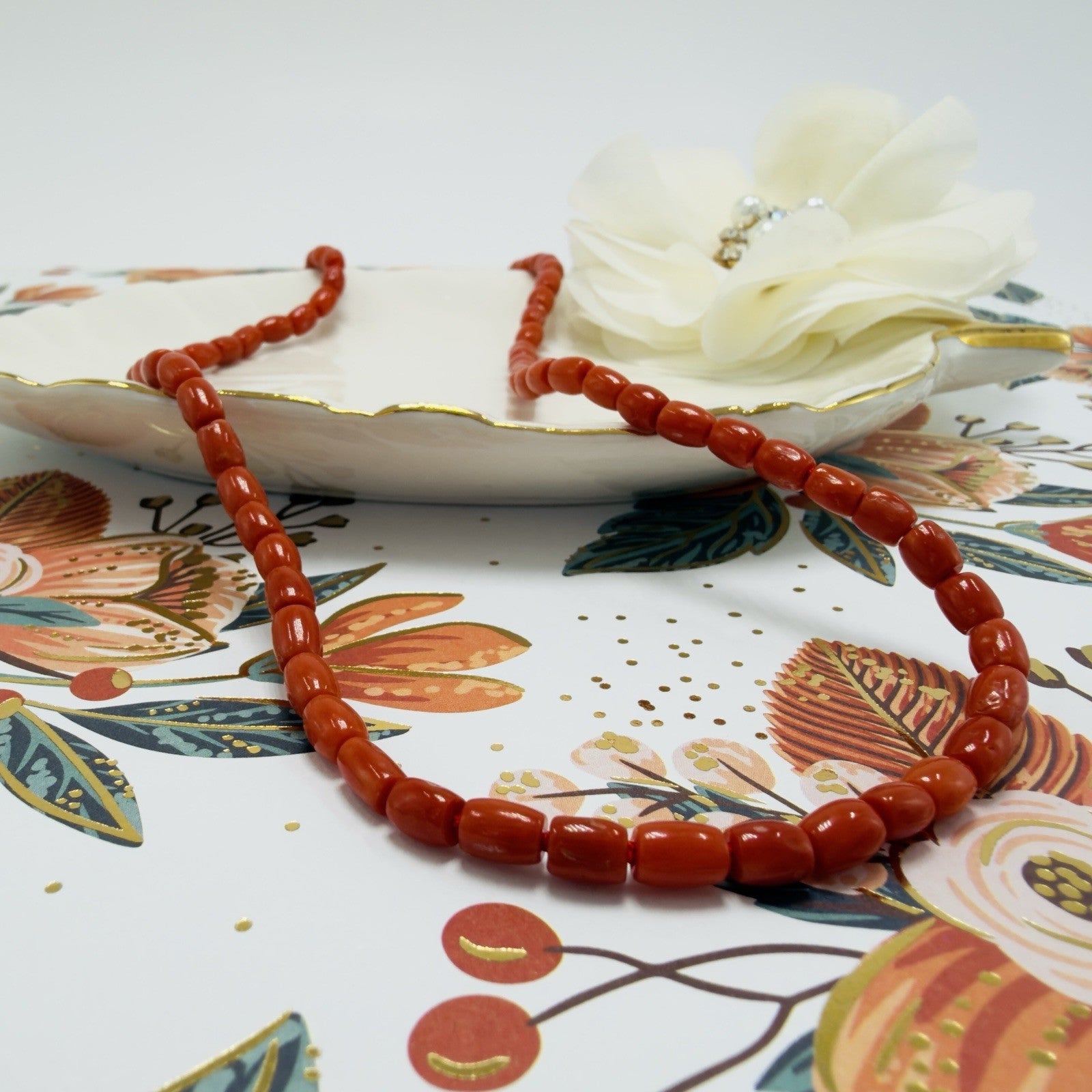 Natural Italian Red Coral 14k Yellow gold Necklace, Adjustable 18-19.5"